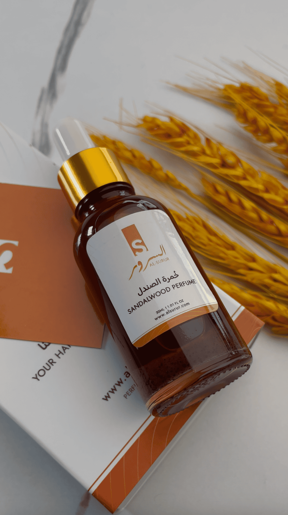 Mega Menu Banner1000132